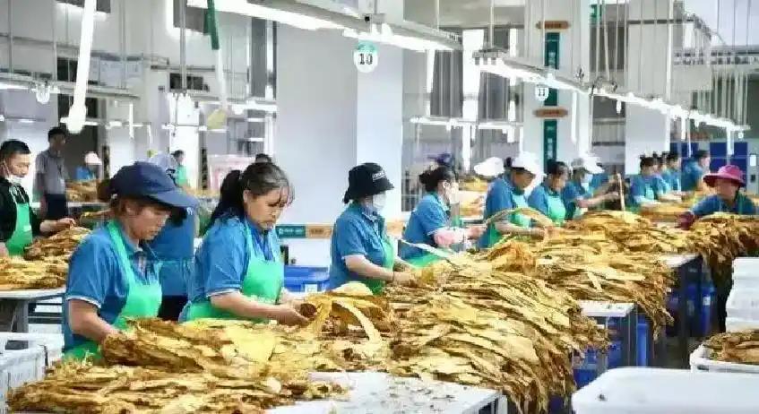 饿了？拉门斯被拍到在比利时替补席啃苹果